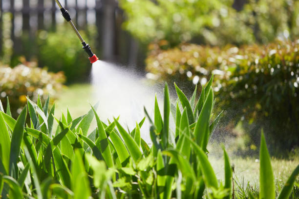 24/7 Emergency Wasp Removal experts in Biola, CA